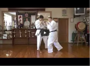 Andrey Stepin demos Kyokushin low kick