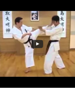 Dynamic Kyokushin Kicks From Shihan Daigo Oishi