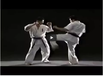 Kyokushin Karate Fight Techniques