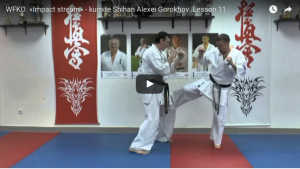 Kyokushin Lesson 11 with Shihan Alexei Gorokhov