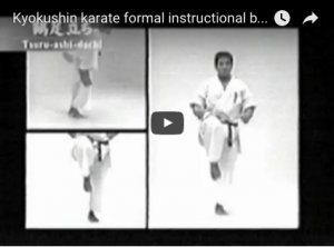 Kyokushin karate formal instructional by Kenji Midori