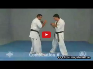Kyokushinkai Training with Shihan Jesús Talán