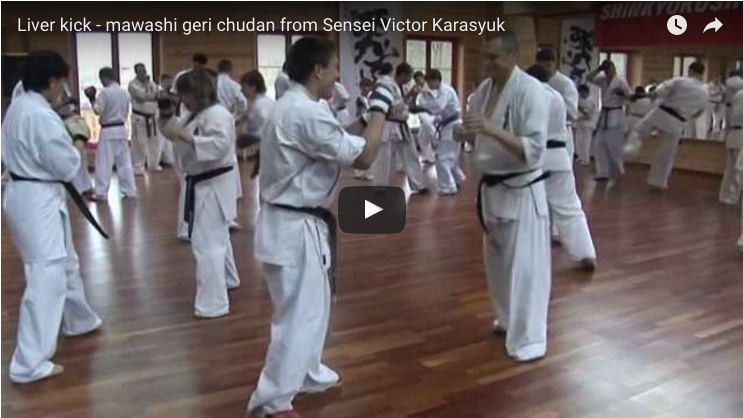 Liver kick - mawashi geri chudan from Sensei Victor Karasyuk