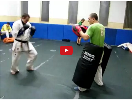 Kyokushin Training for Stamina – Punches & Kicks with Cristian Boldut