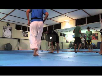 Kyokushinkai Strength and Conditioning Circuit Training