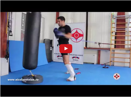 Kyokushin Training and Conditioning with Nicolae Stoian
