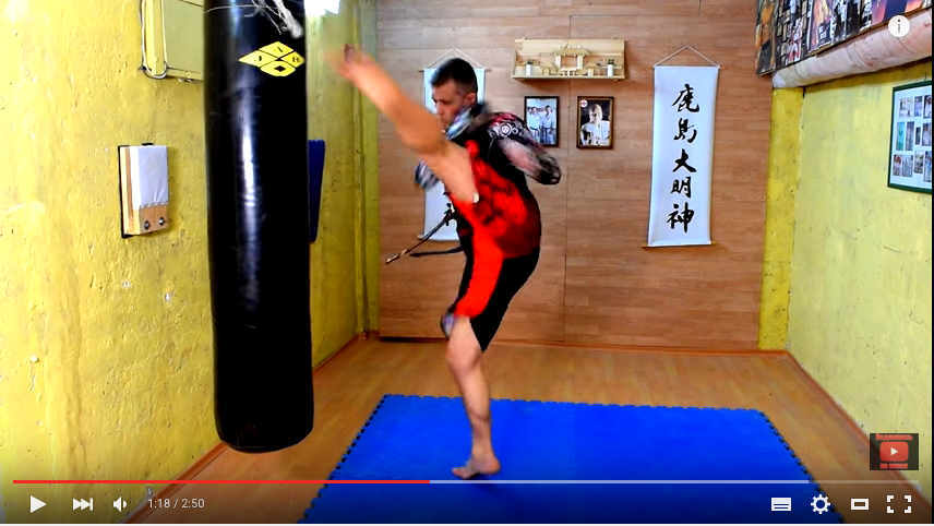Combination Mawashi High Kick, Punches and Low Kick, with Dmitriy Solodovnikov