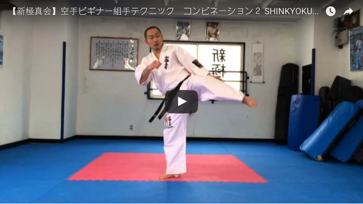 Shinkyokushin Karate Kumite Techniques - Combinations