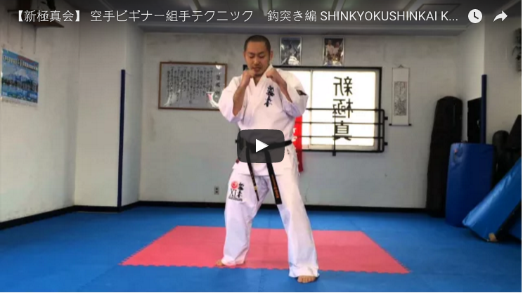 Shinkyokushin Karate KumiteTraining - Strikes
