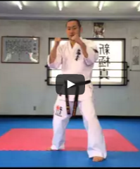 Shinkyokushin-kai karate beginner Kumite techniques