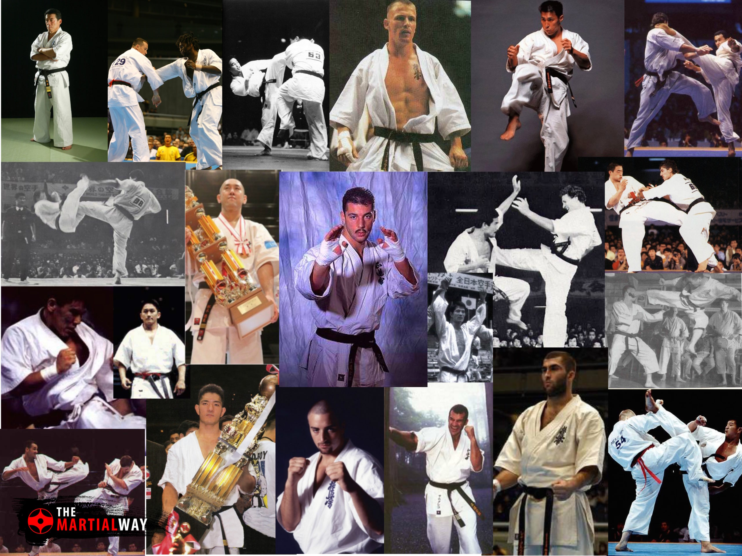 kyokushin karate stances