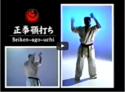Kyokushin Kihon Geiko – Basic Strikes & Blocks
