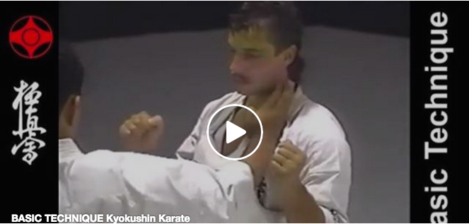 Basic Techniques of Kyokushin Karate