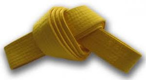 yellow-belt
