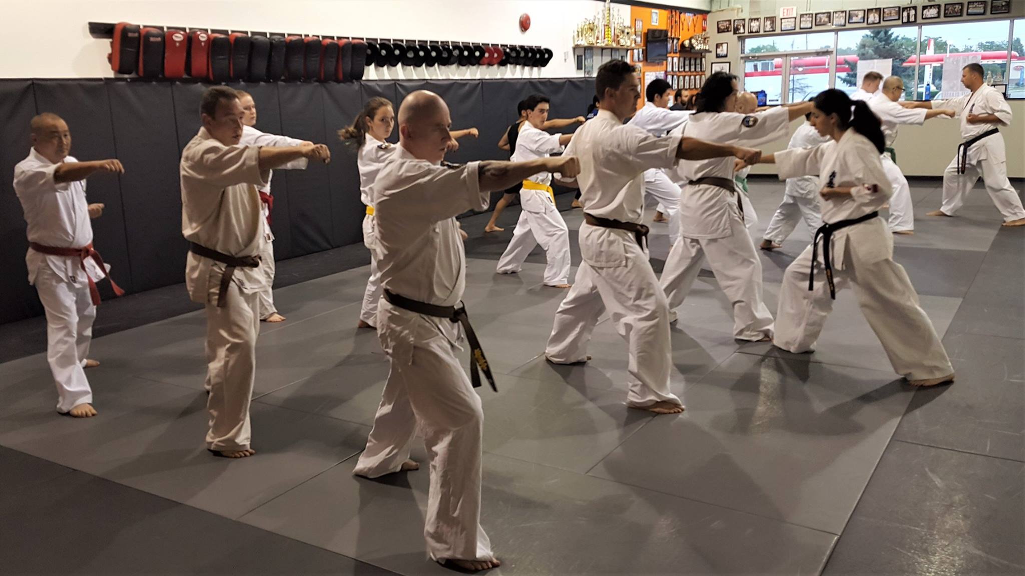Kyokushin Karate and Shodō - The Martial Way