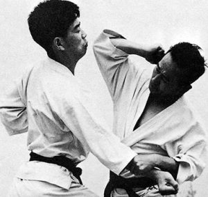 Glossary of Kyokushin Karate Terms - The Martial Way